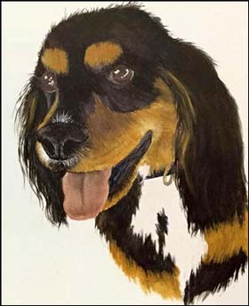 Dog painted by Carolyn Pollitt