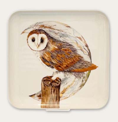 Owl Platter by Carolyn Pollitt